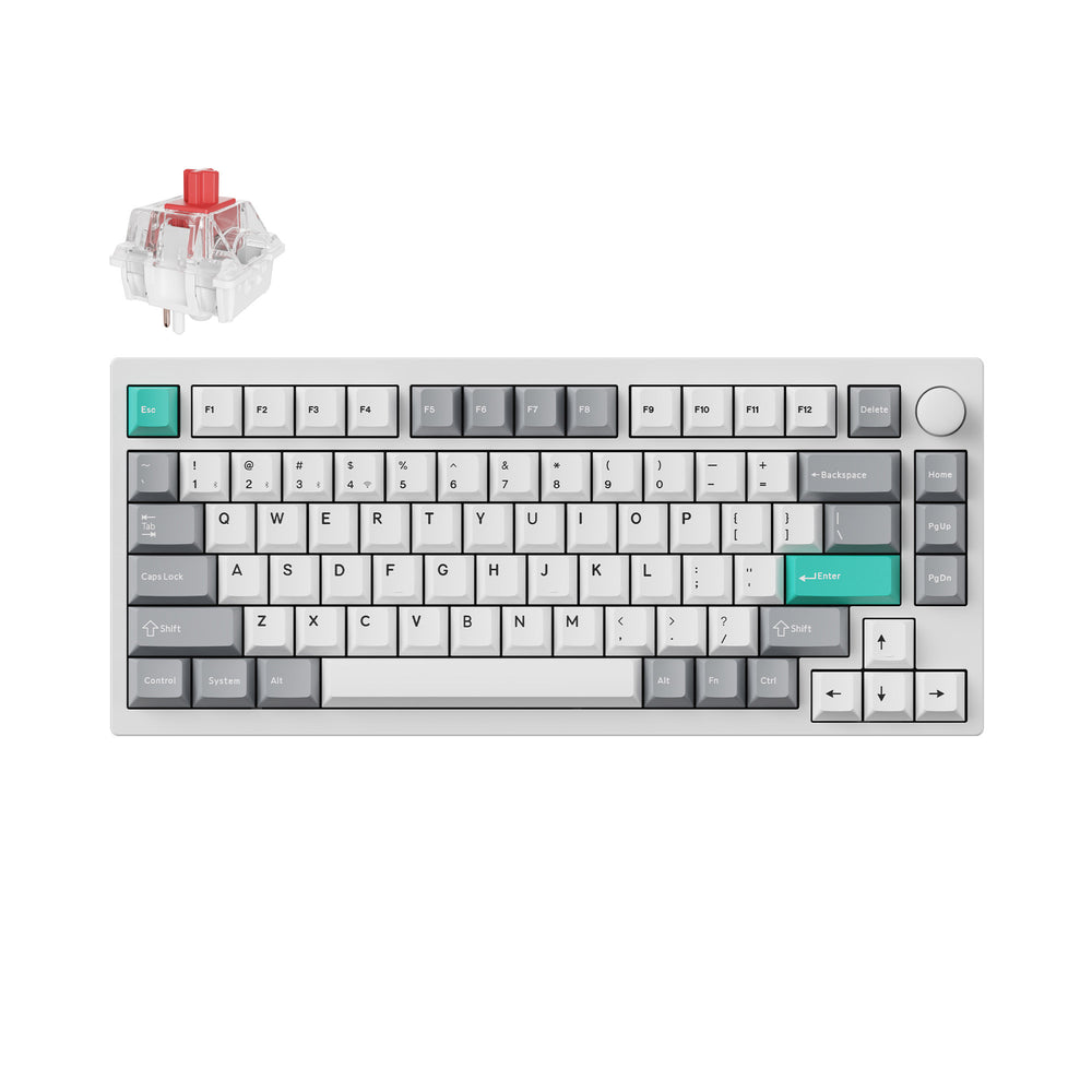 Lemokey P1 QMK/VIA Custom Gaming Keyboard (US ANSI Layout)