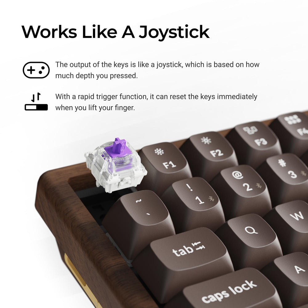 Keychron K2 HE Wireless Magnetic Switch Custom Keyboard - All Wood Special Edition (US ANSI Layout)