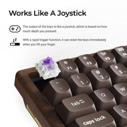 Keychron K2 HE Wireless Magnetic Switch Custom Keyboard - All Wood Special Edition (US ANSI Layout)